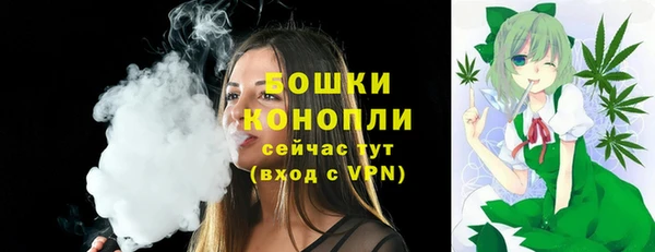 стаф Беломорск