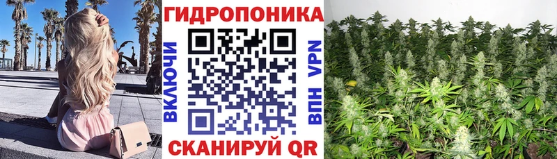 Канабис ГИДРОПОН  дарнет шоп  omg tor  Яровое 